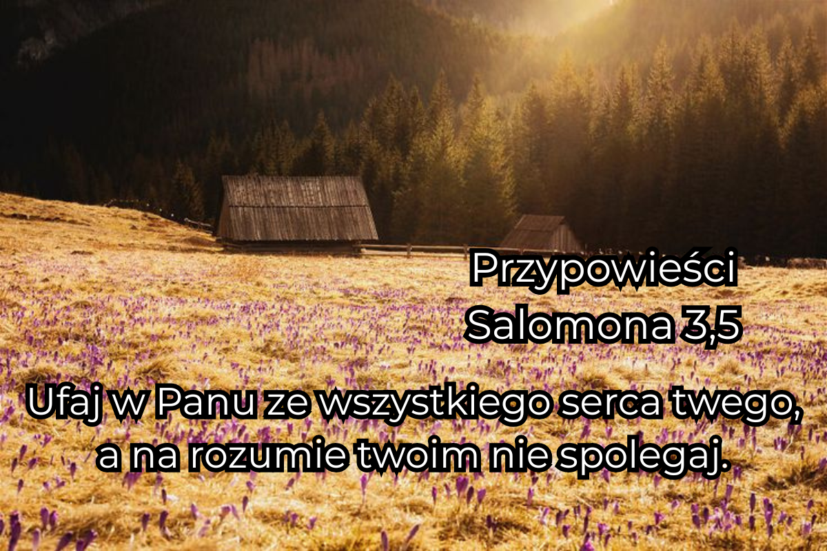 Zaufaj Panu z całego serca swego - Przypowieści Salomona 3,5